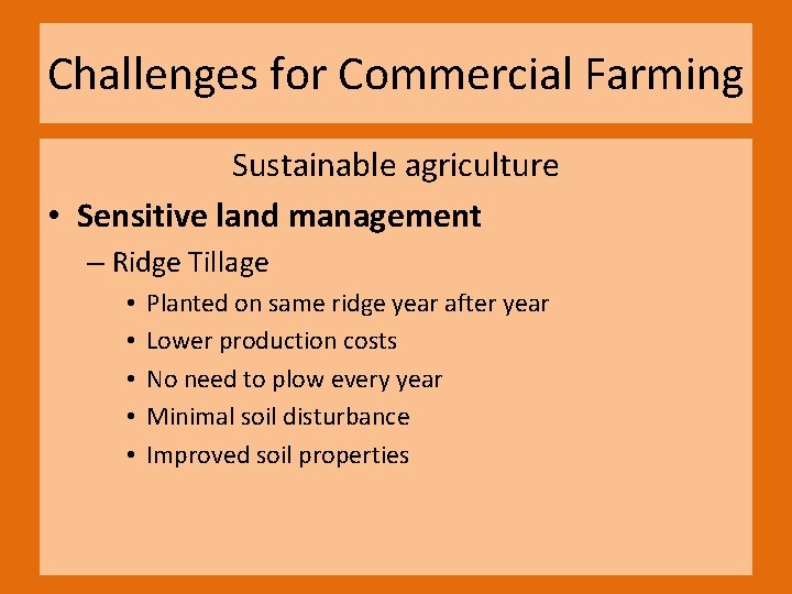 Challenges for Commercial Farming Sustainable agriculture • Sensitive land management – Ridge Tillage •