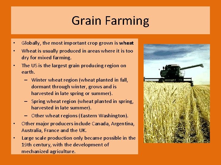 Grain Farming • • • Globally, the most important crop grown is wheat Wheat