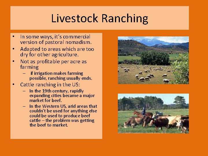 Livestock Ranching • In some ways, it’s commercial version of pastoral nomadism. • Adapted