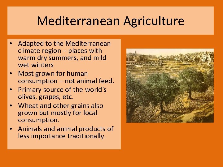 Mediterranean Agriculture • Adapted to the Mediterranean climate region – places with warm dry