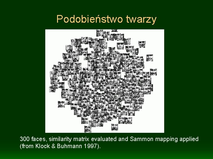 Podobieństwo twarzy 300 faces, similarity matrix evaluated and Sammon mapping applied (from Klock &