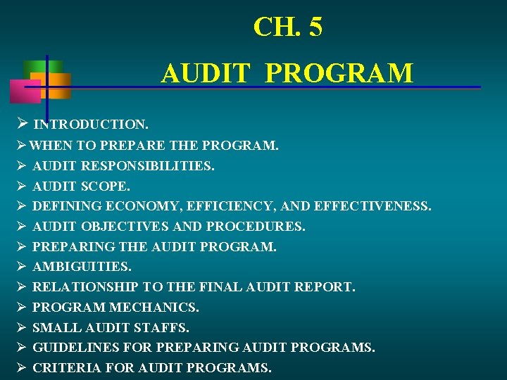 CH. 5 AUDIT PROGRAM INTRODUCTION. WHEN TO PREPARE THE PROGRAM. AUDIT RESPONSIBILITIES. AUDIT SCOPE.