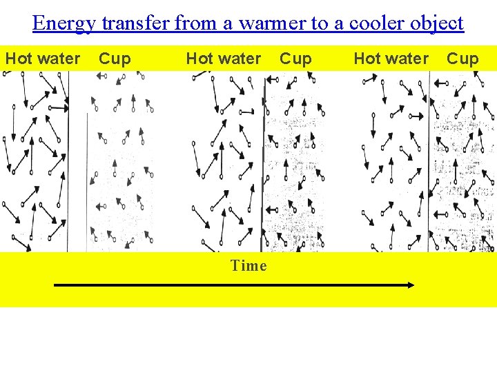 Energy transfer from a warmer to a cooler object Hot water Cup Hot water