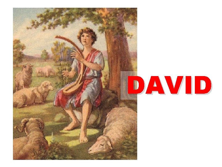 DAVID 