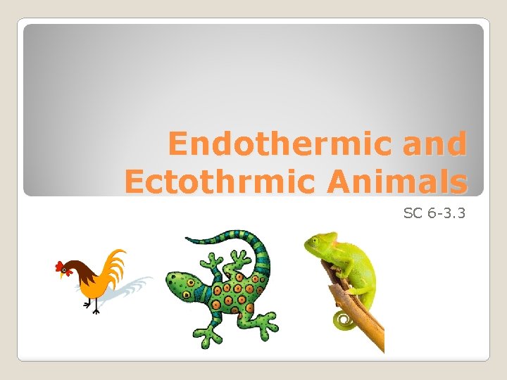 Endothermic and Ectothrmic Animals SC 6 -3. 3 