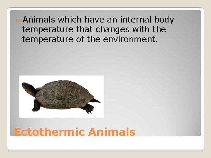  Animals which have an internal body temperature that changes with the temperature of