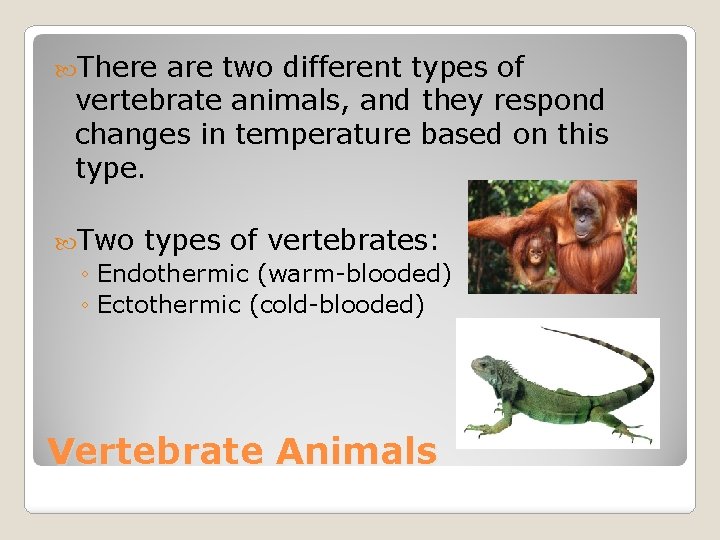  There are two different types of vertebrate animals, and they respond changes in