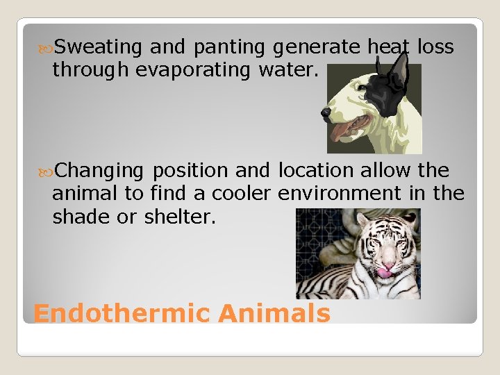  Sweating and panting generate heat loss through evaporating water. Changing position and location