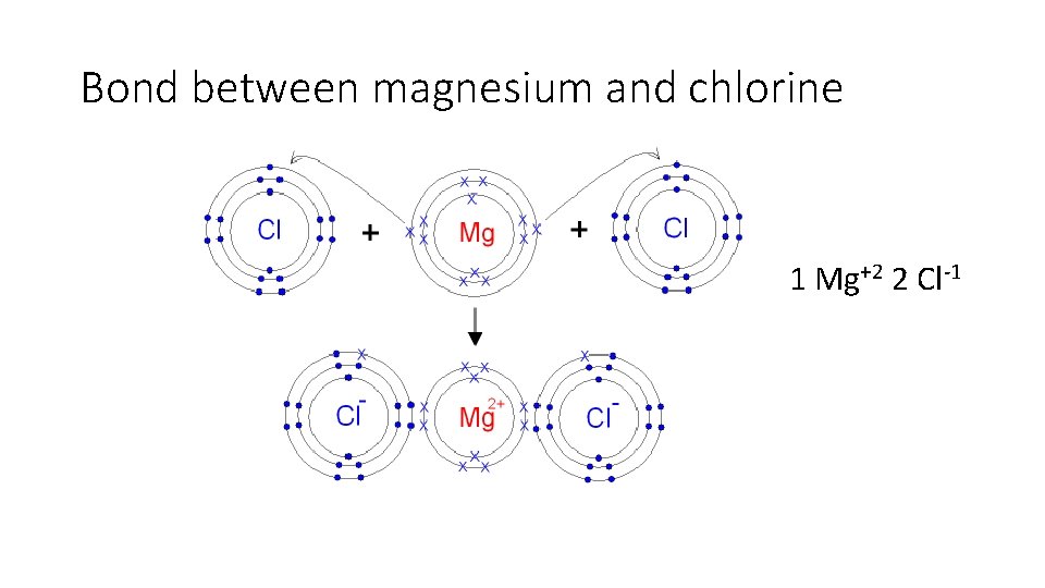 Bond between magnesium and chlorine 1 Mg+2 2 Cl-1 Bond between magnesium and chlorine 1 Mg+2 2 Cl-1