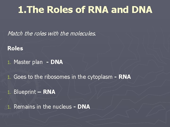 1. The Roles of RNA and DNA Match the roles with the molecules. Roles