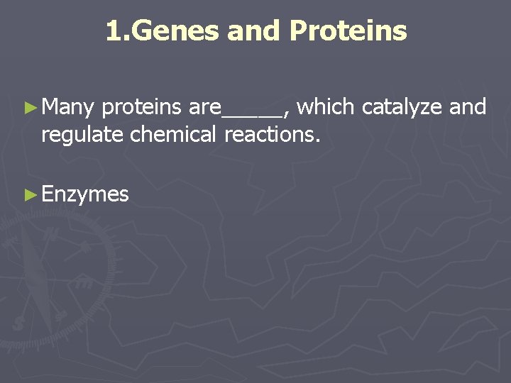 1. Genes and Proteins ► Many proteins are_____, which catalyze and regulate chemical reactions.