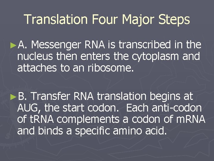 Translation Four Major Steps ►A. Messenger RNA is transcribed in the nucleus then enters