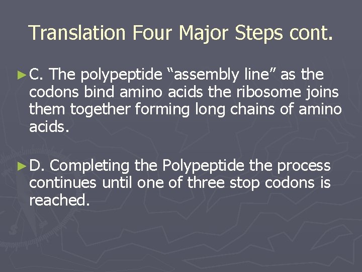 Translation Four Major Steps cont. ► C. The polypeptide “assembly line” as the codons