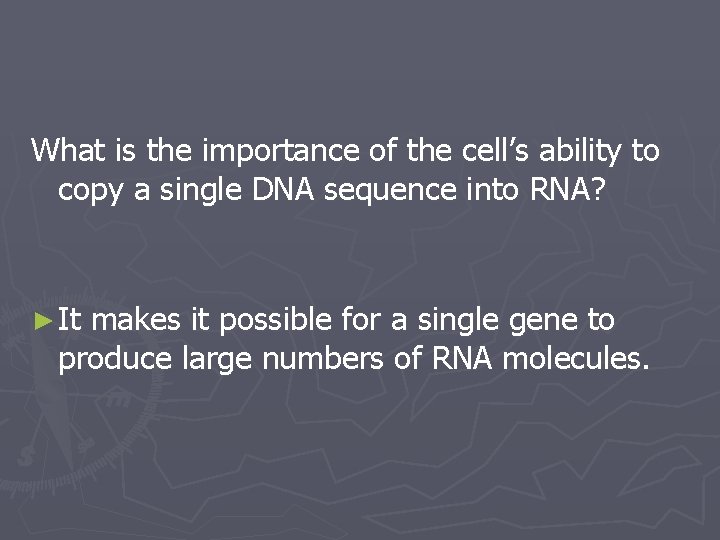 What is the importance of the cell’s ability to copy a single DNA sequence