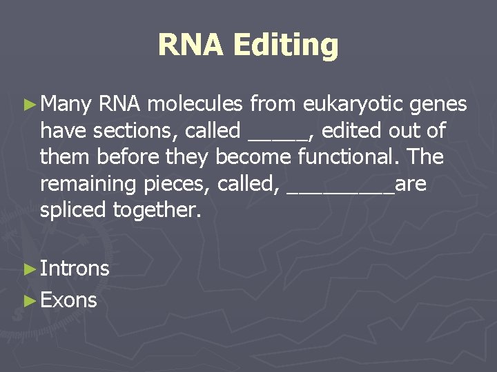 RNA Editing ► Many RNA molecules from eukaryotic genes have sections, called _____, edited