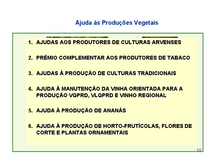 Ajuda às Produções Vegetais 1. AJUDAS AOS PRODUTORES DE CULTURAS ARVENSES 2. PRÉMIO COMPLEMENTAR