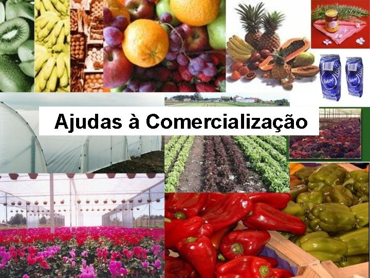 Ajudas à Comercialização 14 