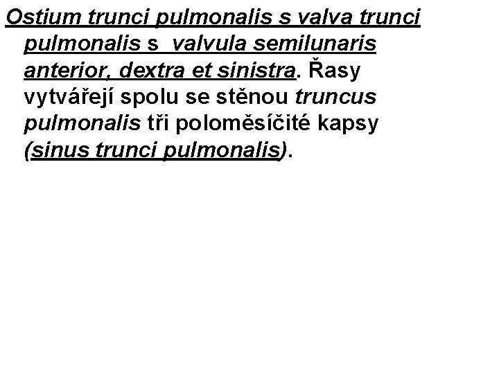 Ostium trunci pulmonalis s valva trunci pulmonalis s valvula semilunaris anterior, dextra et sinistra.