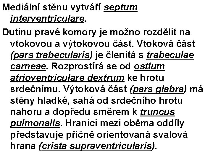 Mediální stěnu vytváří septum interventriculare. Dutinu pravé komory je možno rozdělit na vtokovou a