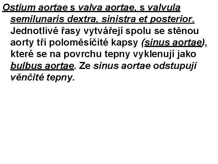 Ostium aortae s valva aortae, s valvula semilunaris dextra, sinistra et posterior. Jednotlivé řasy