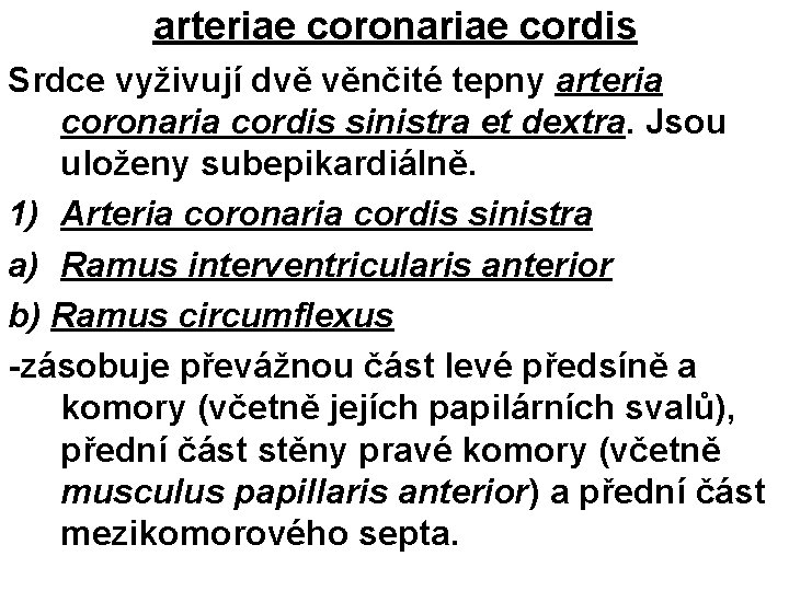 arteriae coronariae cordis Srdce vyživují dvě věnčité tepny arteria coronaria cordis sinistra et dextra.