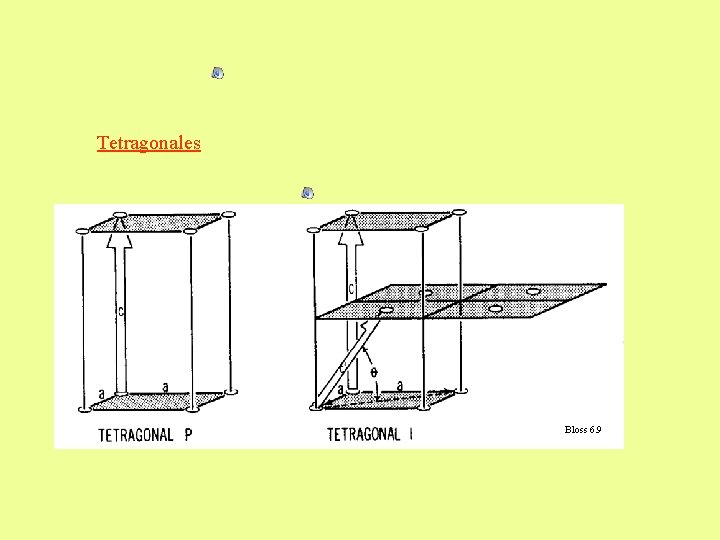 Tetragonales Bloss 6. 9 