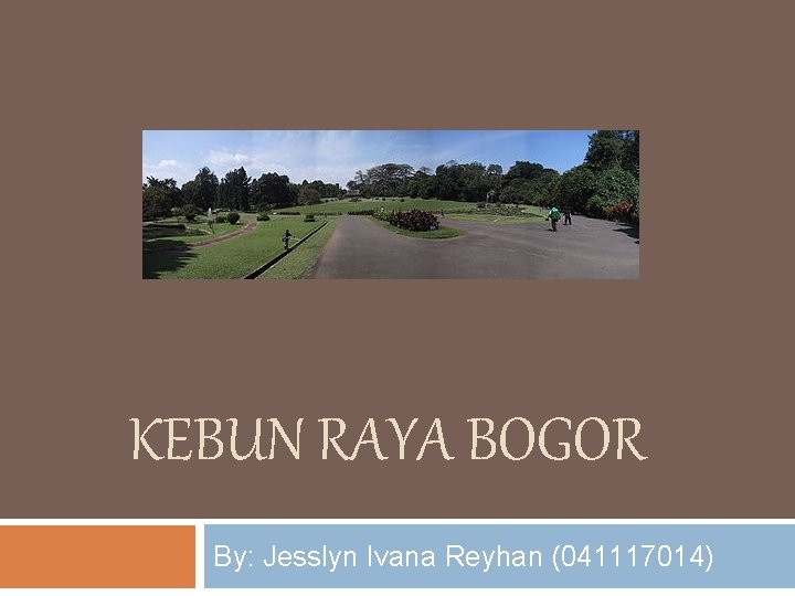 KEBUN RAYA BOGOR By: Jesslyn Ivana Reyhan (041117014) 