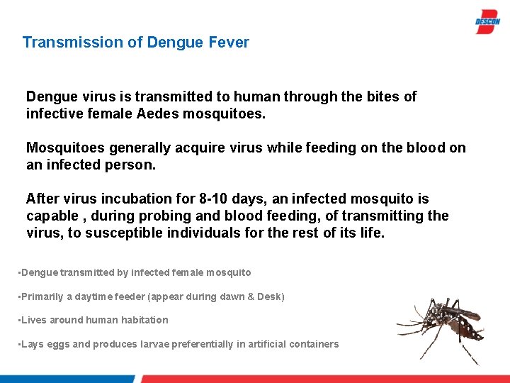 Transmission of Dengue Fever Dengue virus is transmitted to human through the bites of