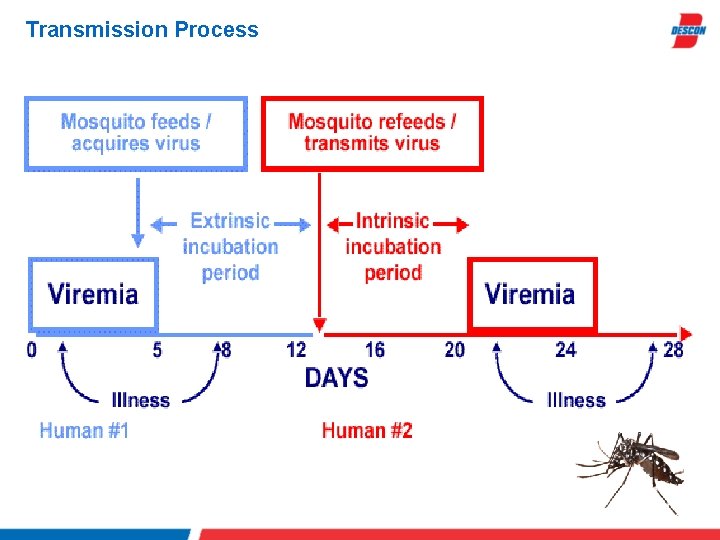 Transmission Process 