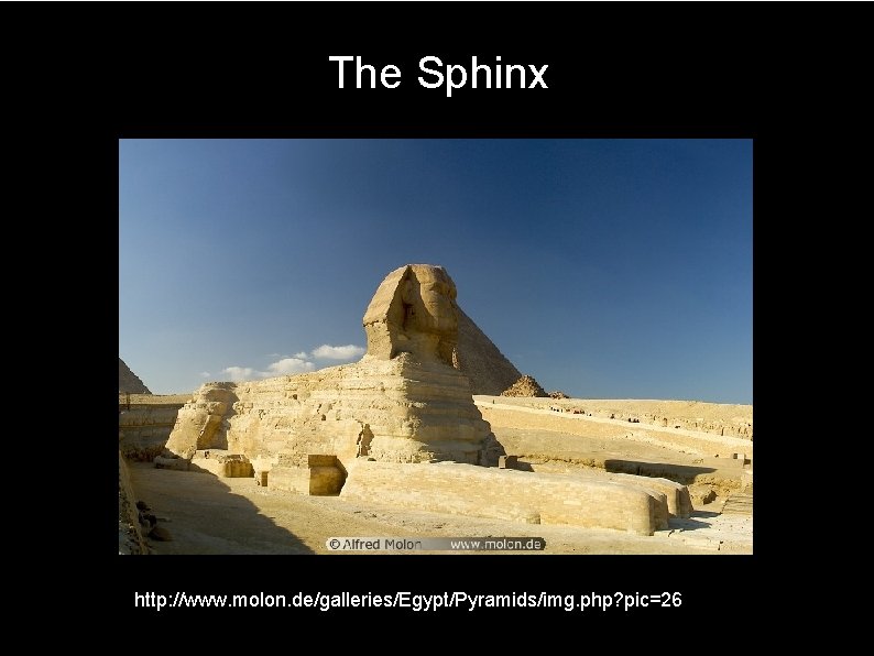 The Sphinx http: //www. molon. de/galleries/Egypt/Pyramids/img. php? pic=26 