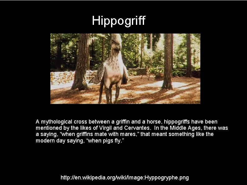 Hippogriff s A mythological cross between a griffin and a horse, hippogriffs have been