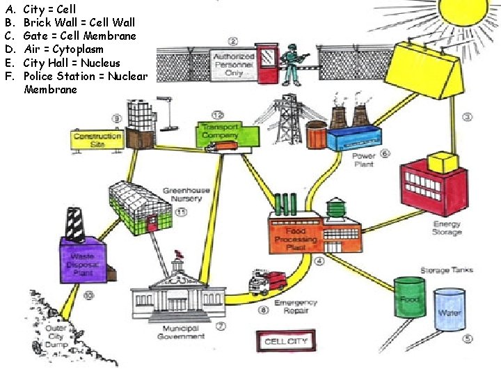 A. B. C. D. E. F. City = Cell Brick Wall = Cell Wall