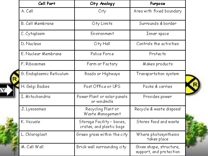 Cell Part City Analogy Purpose City Area with fixed boundary City Limits Surrounds &