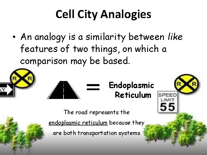 Cell City Analogies • An analogy is a similarity between like features of two