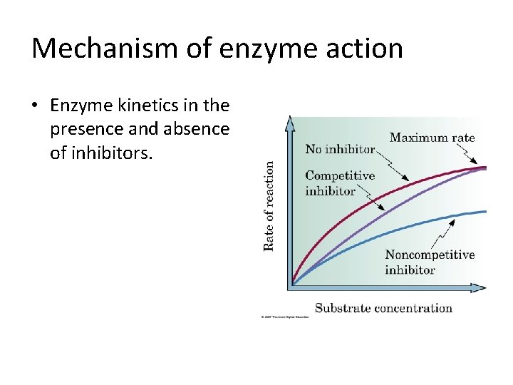 Mechanism of enzyme action • Enzyme kinetics in the presence and absence of inhibitors.