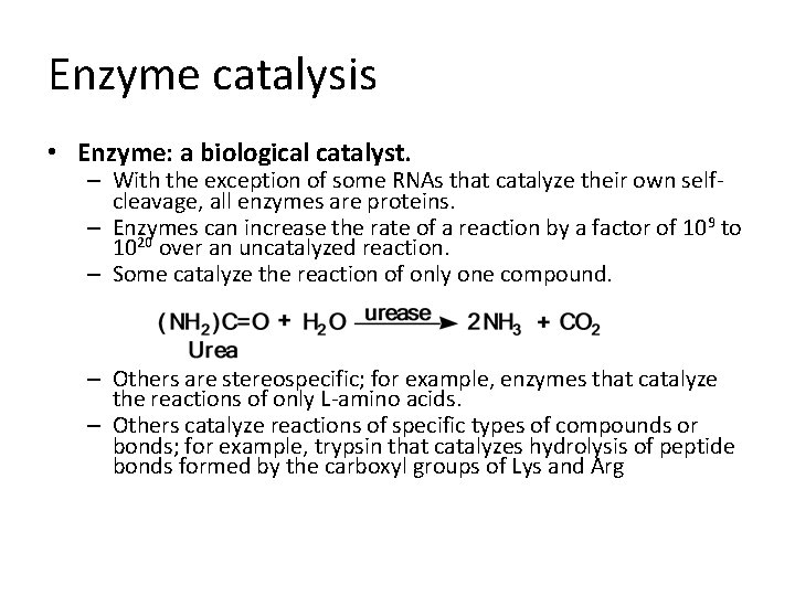 Enzyme catalysis • Enzyme: a biological catalyst. – With the exception of some RNAs