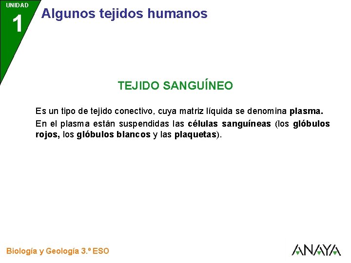UNIDAD 1 3 Algunos tejidos humanos TEJIDO SANGUÍNEO Es un tipo de tejido conectivo,