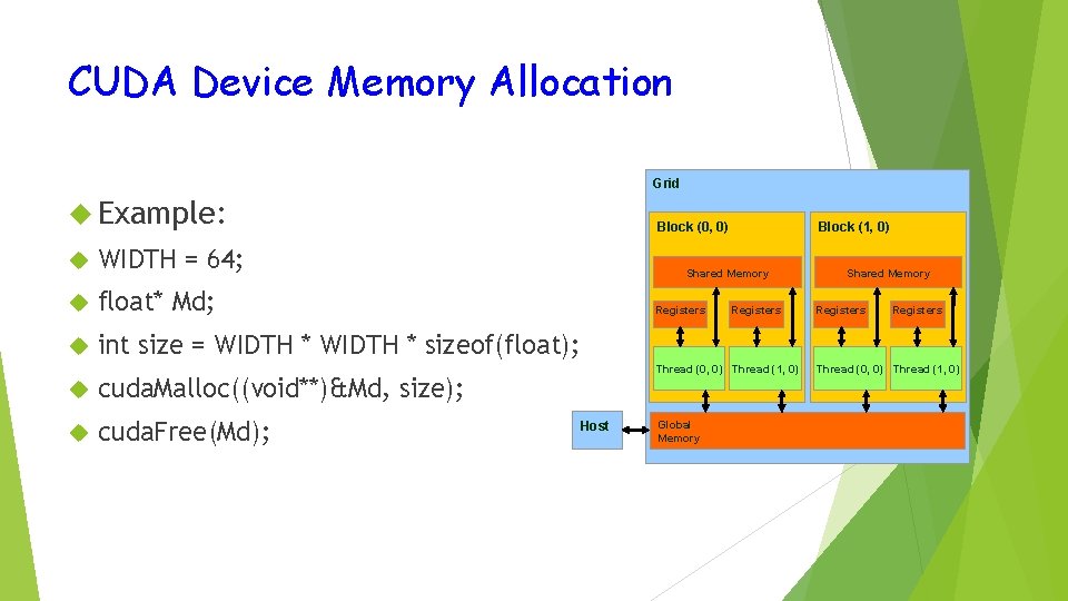 CUDA Device Memory Allocation Grid Example: WIDTH = 64; float* Md; int size =