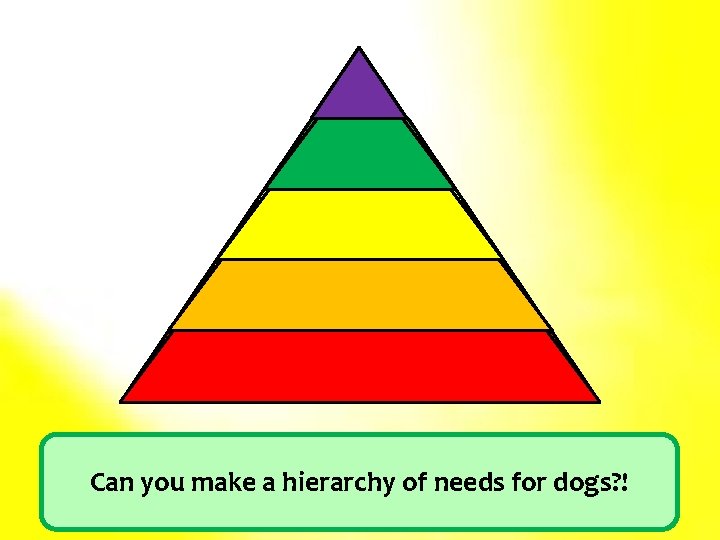 SA Esteem Love/Belonging Safety Physiological Can you make a hierarchy of needs for dogs?