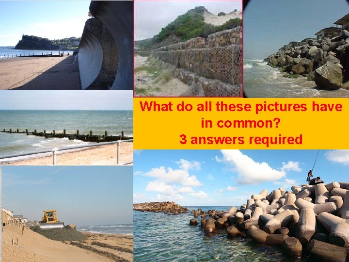 What do all these pictures have in common? 3 answers required 