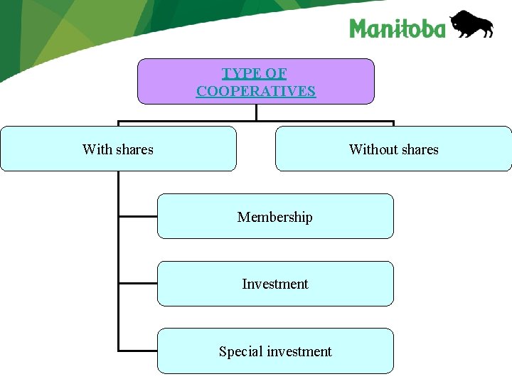 TYPE OF COOPERATIVES With shares Without shares Membership Investment Special investment TYPE OF COOPERATIVES With shares Without shares Membership Investment Special investment
