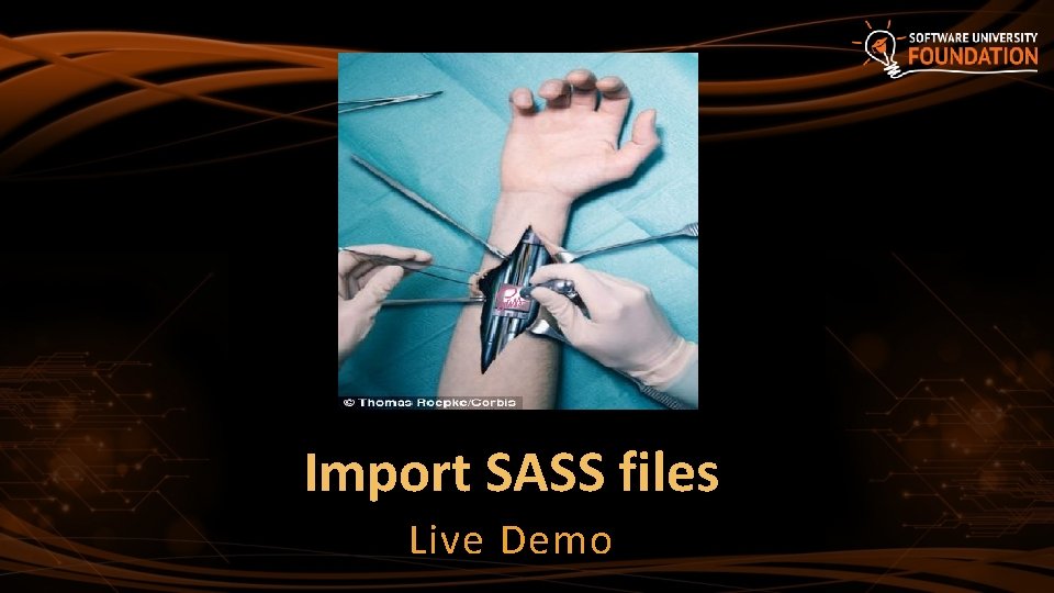 Import SASS files Live Demo 