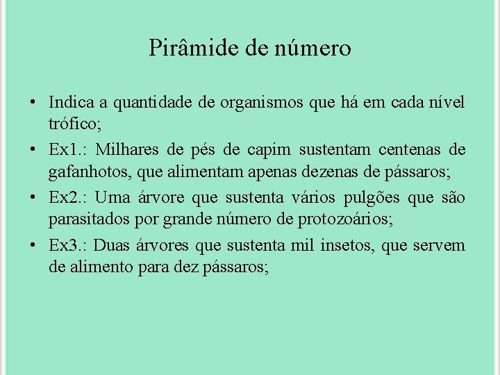 Pirâmide de número • Indica a quantidade de organismos que há em cada nível