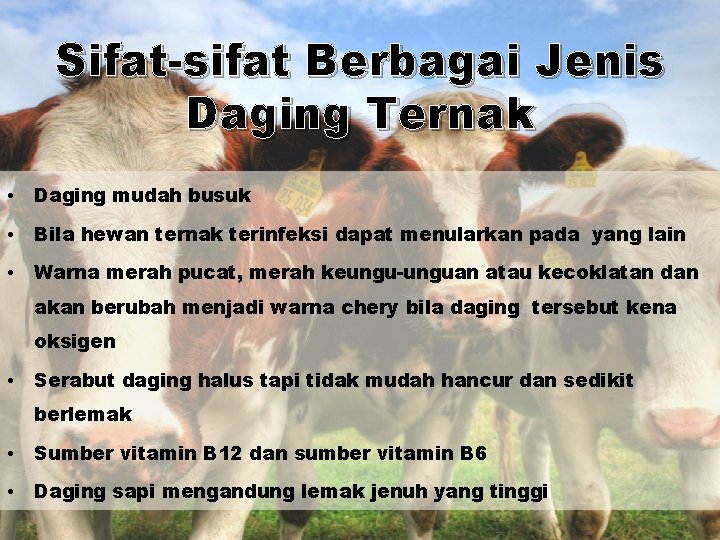 Sifat-sifat Berbagai Jenis Daging Ternak • Daging mudah busuk • Bila hewan ternak terinfeksi