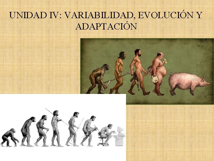 UNIDAD IV: VARIABILIDAD, EVOLUCIÓN Y ADAPTACIÓN 