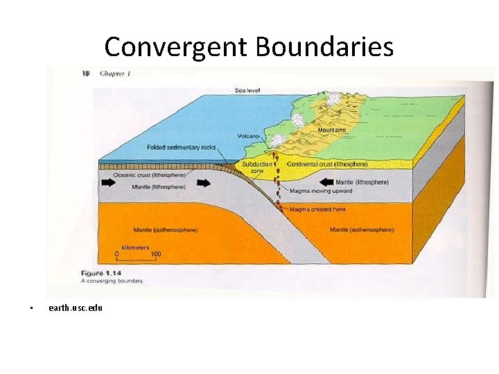 Convergent Boundaries • earth. usc. edu 