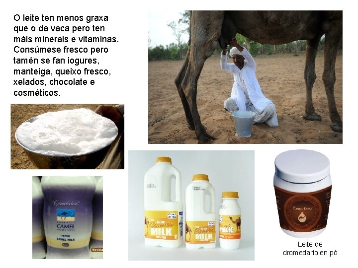 O leite ten menos graxa que o da vaca pero ten máis minerais e