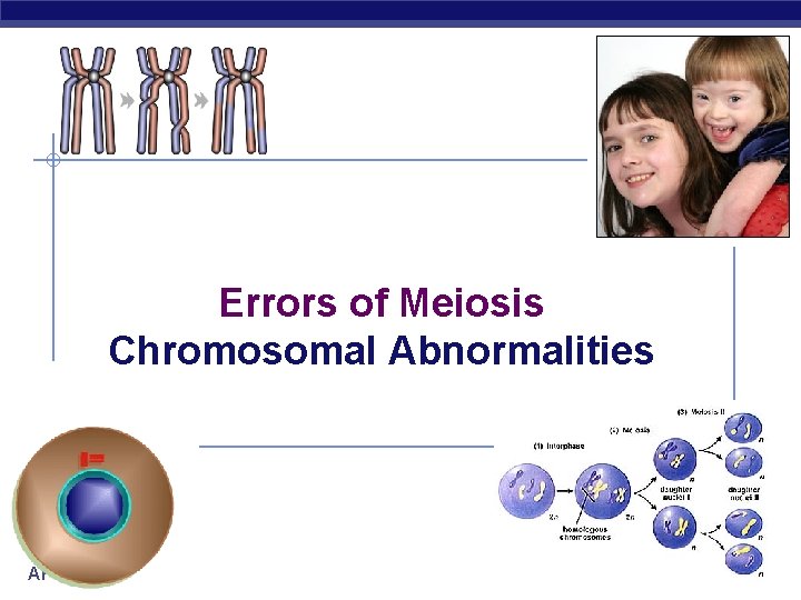 Errors of Meiosis Chromosomal Abnormalities AP Biology 2006 -2007 