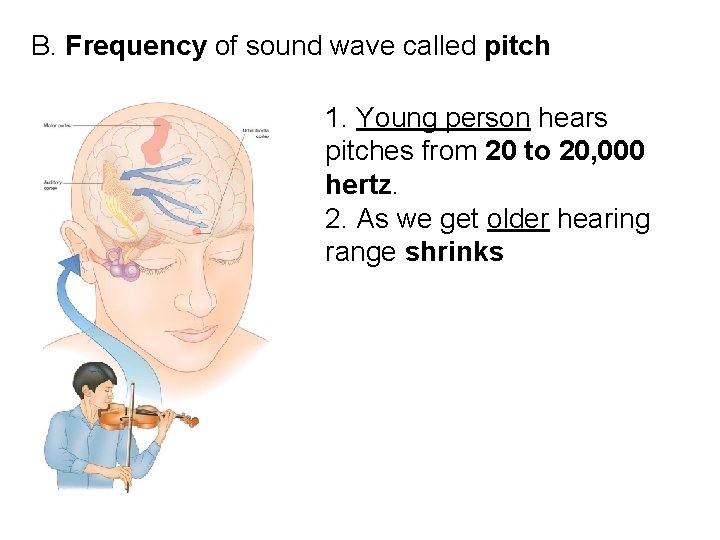 B. Frequency of sound wave called pitch 1. Young person hears pitches from 20