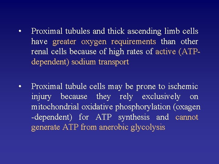  • Proximal tubules and thick ascending limb cells have greater oxygen requirements than